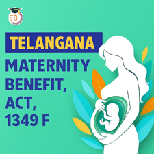 maternity_TS